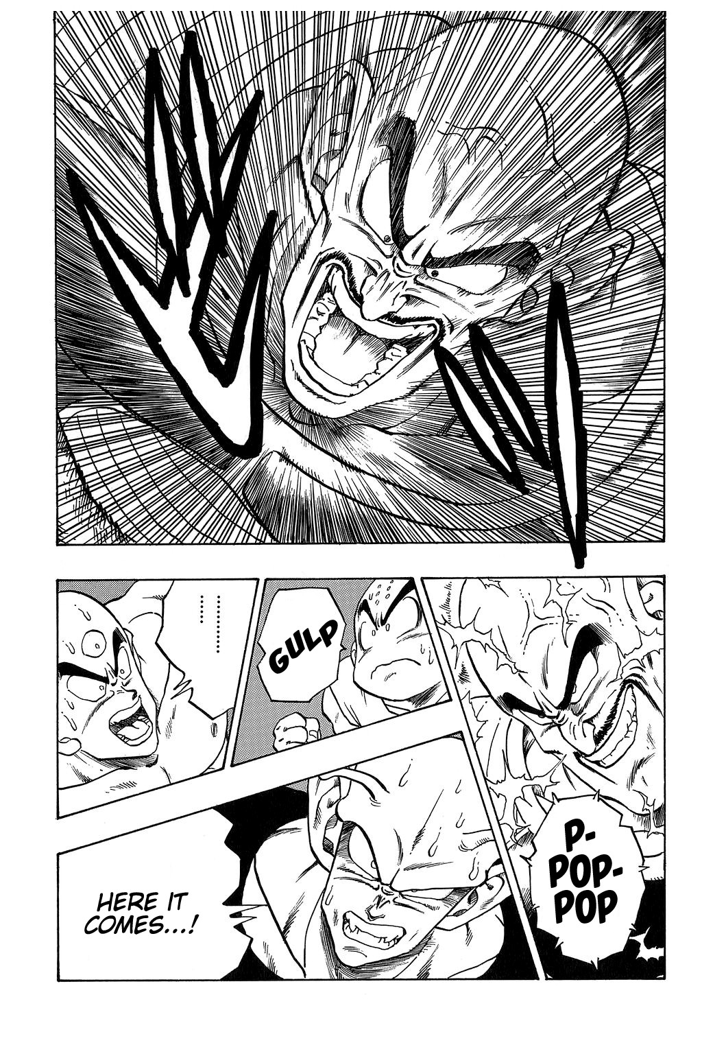 Dragon Ball Chapter 216 14